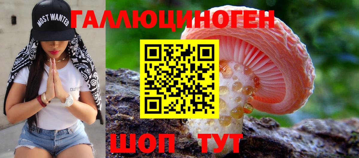 Галлюциногенные грибы Psilocybe Ярцево