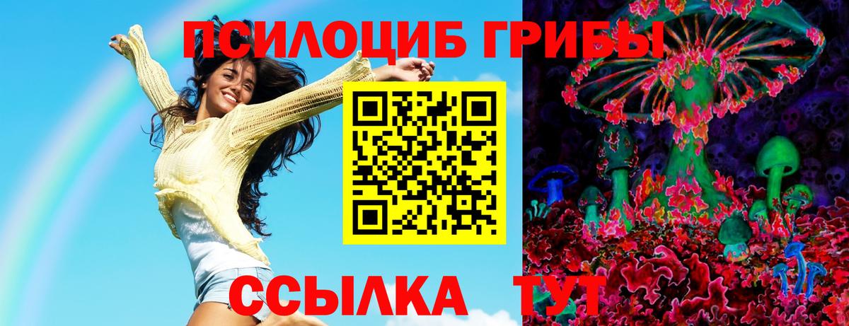 Ярцево  Галлюциногенные грибы Psilocybine cubensis  Псилоцибиновые грибы прущие грибы  Вход с VPN 
